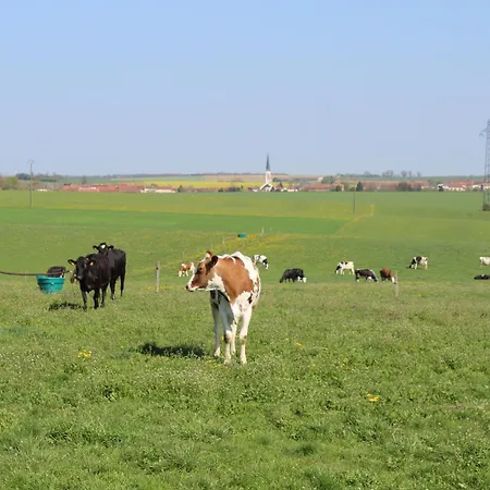 Familial Et Equipe A La Campagne Avec Terrasse, Pres De Pont-a-mousson Et De Nombreuses Activites - Fr-1-584-73 * Lironville