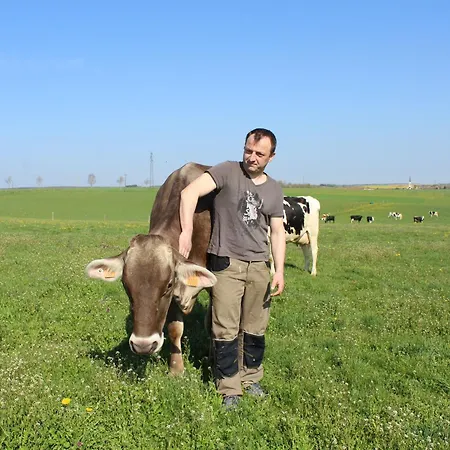 Ferienhaus Familial Et Equipe A La Campagne Avec Terrasse, Pres De Pont-a-mousson Et De Nombreuses Activites - Fr-1-584-73 *