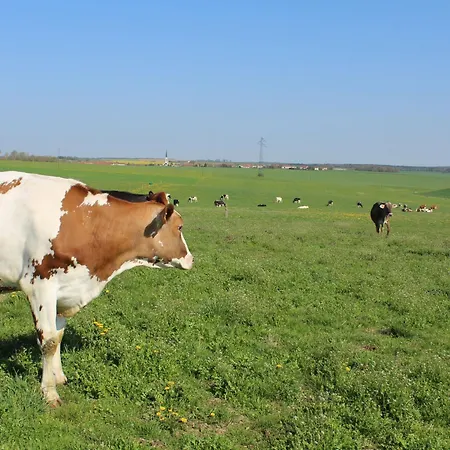 Familial Et Equipe A La Campagne Avec Terrasse, Pres De Pont-a-mousson Et De Nombreuses Activites - Fr-1-584-73 Ferienhaus