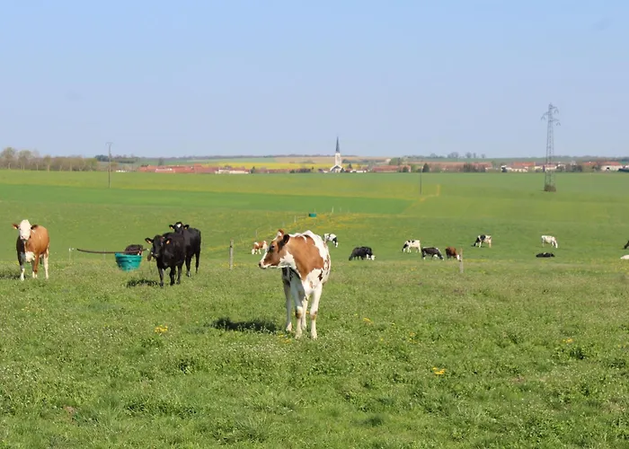 Familial Et Equipe A La Campagne Avec Terrasse, Pres De Pont-a-mousson Et De Nombreuses Activites - Fr-1-584-73 * Lironville
