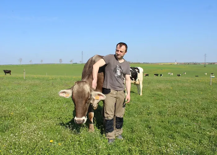 Prázdninový dům Familial Et Equipe A La Campagne Avec Terrasse, Pres De Pont-a-mousson Et De Nombreuses Activites - Fr-1-584-73 *