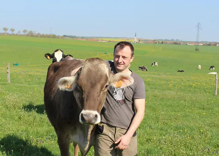 Familial Et Equipe A La Campagne Avec Terrasse, Pres De Pont-a-mousson Et De Nombreuses Activites - Fr-1-584-73 * Lironville